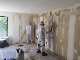 Mold Remediation for Vacation Homes in Lewistown, MT